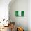 Nigerian Flag-daboost-Art Print displayed on a wall