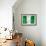 Nigerian Flag-daboost-Framed Art Print displayed on a wall