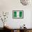 Nigerian Flag-daboost-Framed Art Print displayed on a wall