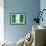 Nigerian Flag-daboost-Framed Art Print displayed on a wall