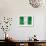 Nigerian Flag-daboost-Framed Art Print displayed on a wall