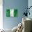 Nigerian Flag-daboost-Stretched Canvas displayed on a wall