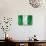 Nigerian Flag-daboost-Stretched Canvas displayed on a wall