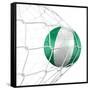 Nigerian Soccer Ball in a Net-zentilia-Framed Stretched Canvas