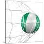 Nigerian Soccer Ball in a Net-zentilia-Stretched Canvas