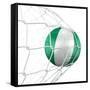 Nigerian Soccer Ball in a Net-zentilia-Framed Stretched Canvas