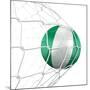 Nigerian Soccer Ball in a Net-zentilia-Mounted Art Print