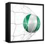 Nigerian Soccer Ball in a Net-zentilia-Framed Stretched Canvas