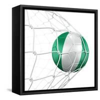 Nigerian Soccer Ball in a Net-zentilia-Framed Stretched Canvas