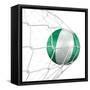 Nigerian Soccer Ball in a Net-zentilia-Framed Stretched Canvas