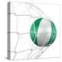 Nigerian Soccer Ball in a Net-zentilia-Stretched Canvas