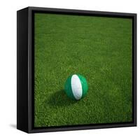 Nigerian Soccerball Lying on Grass-zentilia-Framed Stretched Canvas