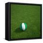 Nigerian Soccerball Lying on Grass-zentilia-Framed Stretched Canvas