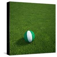 Nigerian Soccerball Lying on Grass-zentilia-Stretched Canvas