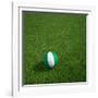 Nigerian Soccerball Lying on Grass-zentilia-Framed Art Print