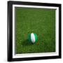 Nigerian Soccerball Lying on Grass-zentilia-Framed Art Print