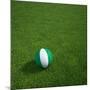 Nigerian Soccerball Lying on Grass-zentilia-Mounted Art Print