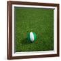 Nigerian Soccerball Lying on Grass-zentilia-Framed Art Print