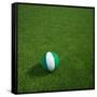 Nigerian Soccerball Lying on Grass-zentilia-Framed Stretched Canvas