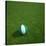 Nigerian Soccerball Lying on Grass-zentilia-Stretched Canvas