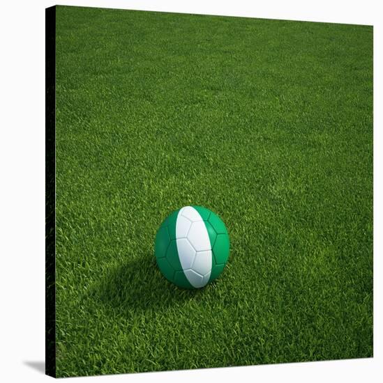 Nigerian Soccerball Lying on Grass-zentilia-Stretched Canvas