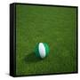 Nigerian Soccerball Lying on Grass-zentilia-Framed Stretched Canvas