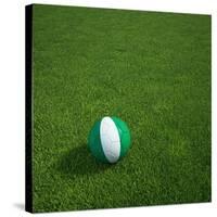 Nigerian Soccerball Lying on Grass-zentilia-Stretched Canvas