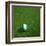 Nigerian Soccerball Lying on Grass-zentilia-Framed Art Print