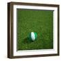 Nigerian Soccerball Lying on Grass-zentilia-Framed Art Print