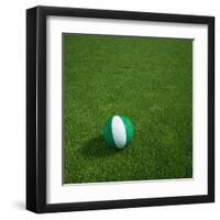 Nigerian Soccerball Lying on Grass-zentilia-Framed Art Print