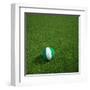 Nigerian Soccerball Lying on Grass-zentilia-Framed Art Print