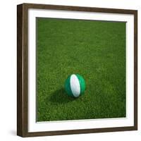 Nigerian Soccerball Lying on Grass-zentilia-Framed Art Print