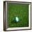 Nigerian Soccerball Lying on Grass-zentilia-Framed Art Print