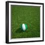 Nigerian Soccerball Lying on Grass-zentilia-Framed Art Print