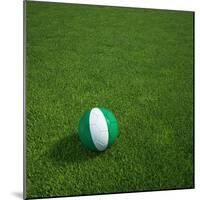 Nigerian Soccerball Lying on Grass-zentilia-Mounted Art Print