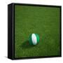 Nigerian Soccerball Lying on Grass-zentilia-Framed Stretched Canvas