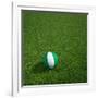 Nigerian Soccerball Lying on Grass-zentilia-Framed Art Print