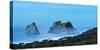 Night at Wharariki Beach on West Coast of South Island, Nelson, South Island, New Zealand, Pacific-John Alexander-Stretched Canvas