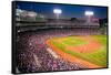 Night baseball game at historic Fenway Park, Boston Red Sox, Boston, Ma., USA, May 20, 2010, Red...-null-Framed Stretched Canvas