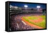 Night baseball game at historic Fenway Park, Boston Red Sox, Boston, Ma., USA, May 20, 2010, Red...-null-Framed Stretched Canvas