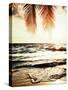 Night Beach-Tai Prints-Stretched Canvas