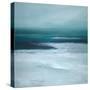 Night Beach-Suzanne Wilkins-Stretched Canvas