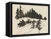 Night before Christmas-Arthur Rackham-Framed Stretched Canvas