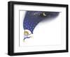 Night Blanket-April Hartmann-Framed Giclee Print