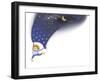 Night Blanket-April Hartmann-Framed Giclee Print