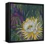 Night Bloom-Bill Jackson-Framed Stretched Canvas