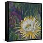 Night Bloom-Bill Jackson-Framed Stretched Canvas
