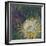 Night Bloom-Bill Jackson-Framed Giclee Print