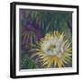 Night Bloom-Bill Jackson-Framed Giclee Print