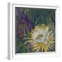 Night Bloom-Bill Jackson-Framed Giclee Print